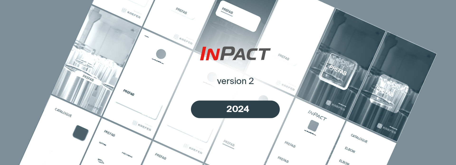 InPact_v2_2024